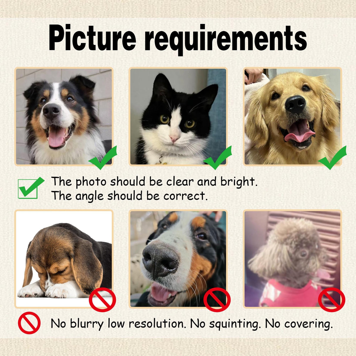 Pet reference photo requirements showing clear bright frontal portraits