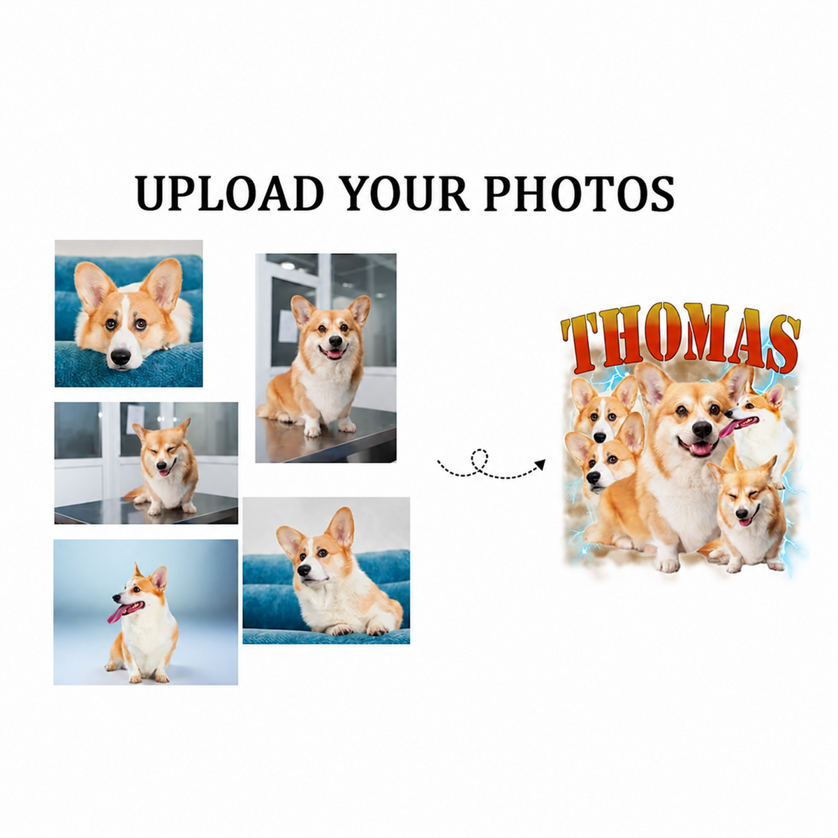 Examples of pet photos used to create a personalized portrait collage