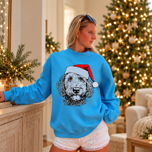 Blue mockneck sweatshirt with Santa hat pet sketch print in a warm Christmas living room