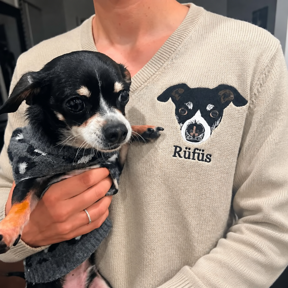 Person holding a small dog while wearing a beige Rufus pet portrait V-neck sweater