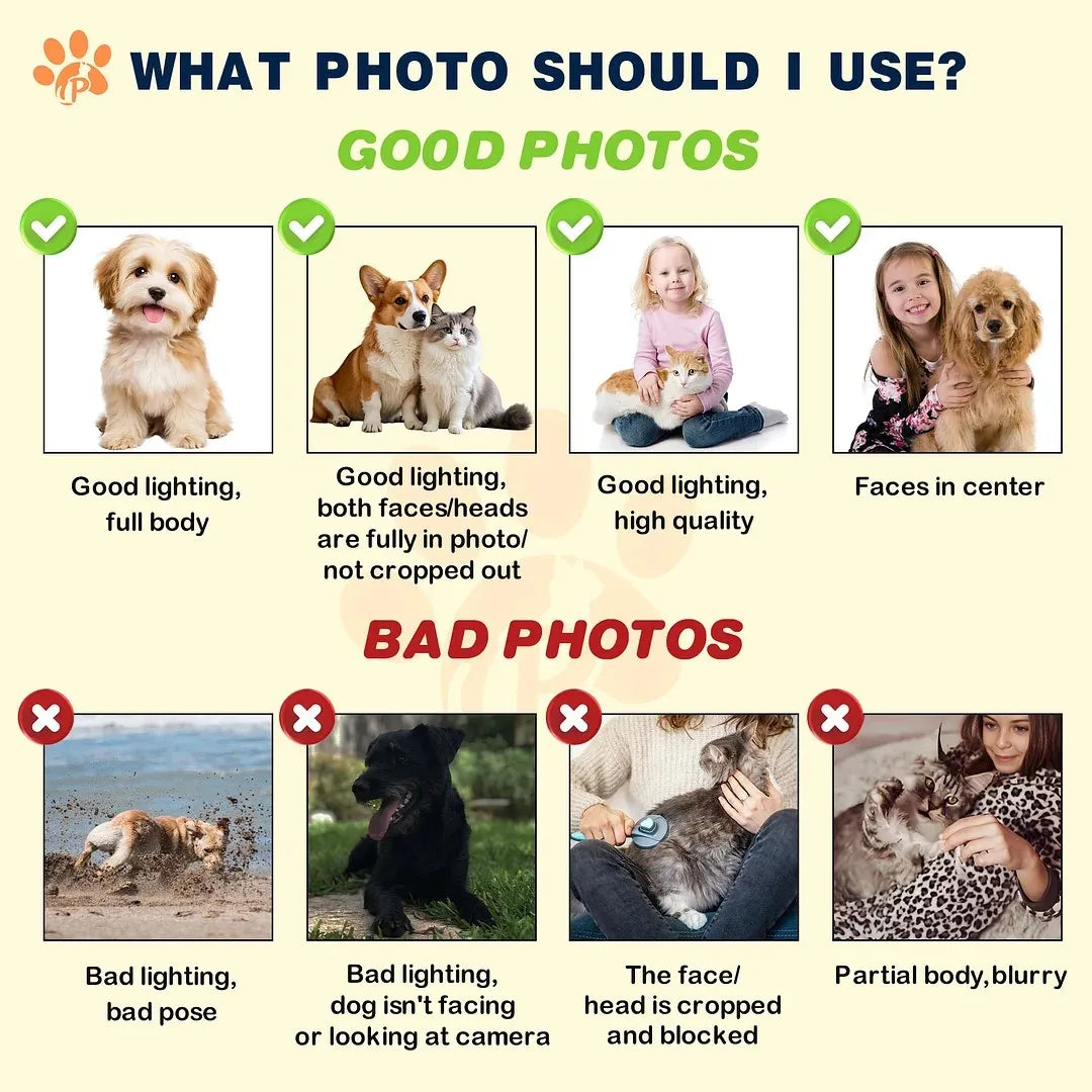 Photo guide showing suitable and unsuitable pet portrait reference photos