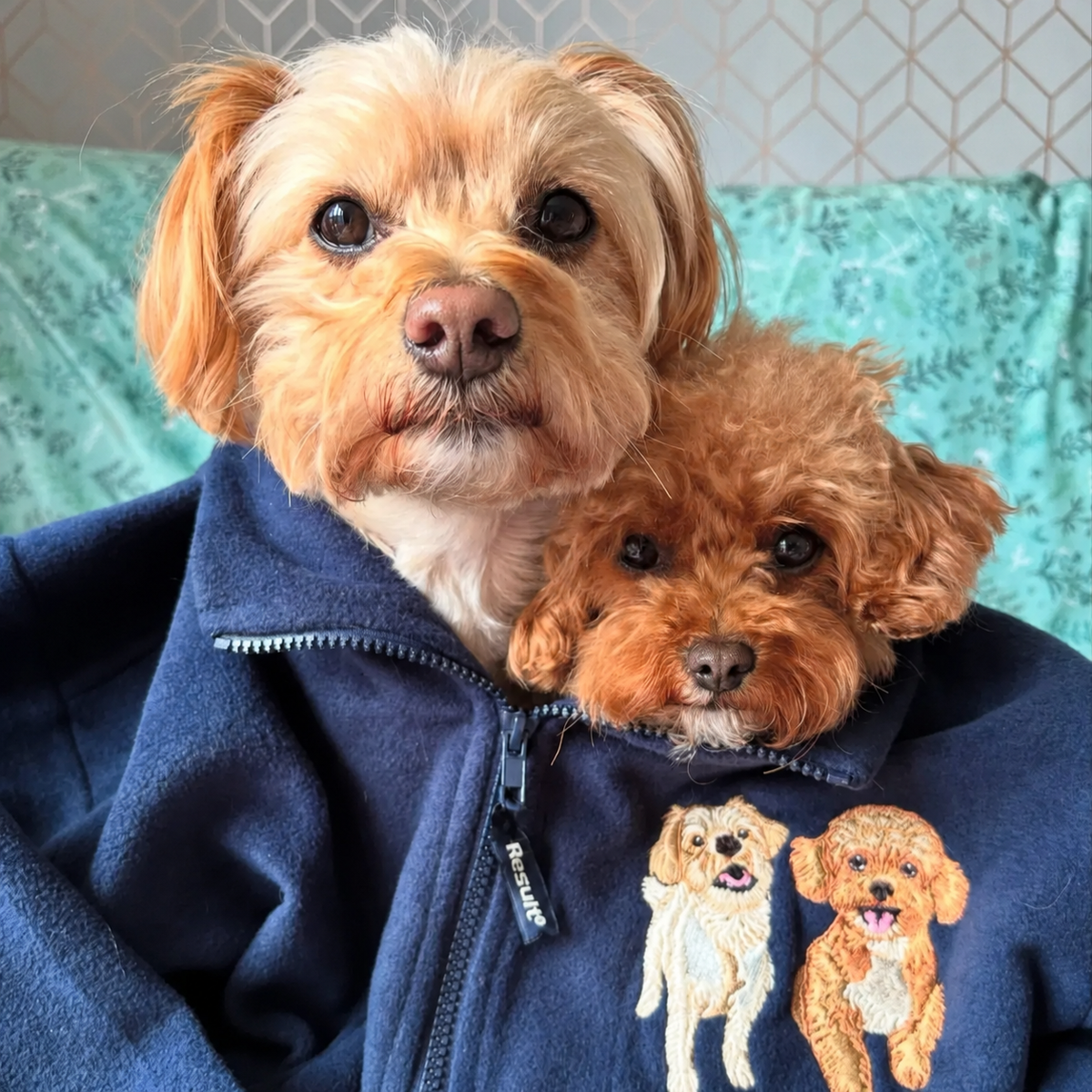 Navy fleece quarter zip with two embroidered dog portraits beside real dogs
