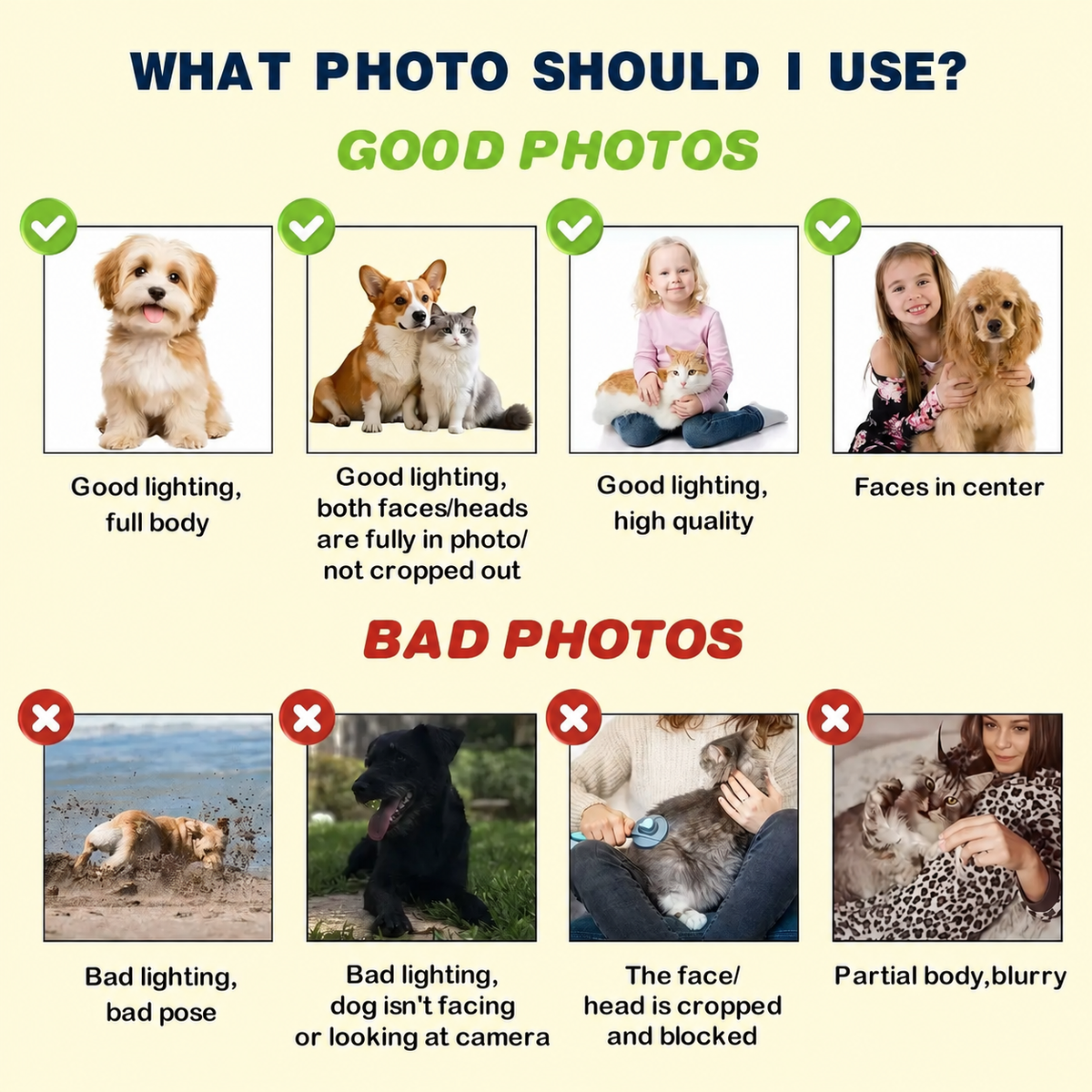 Guide to choosing a clear well-lit pet portrait photo