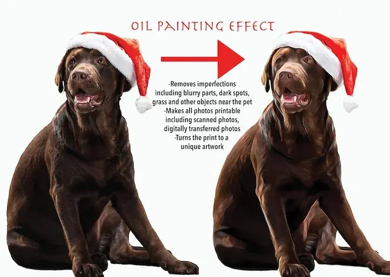 Pet photograph and oil painting style portrait comparison
