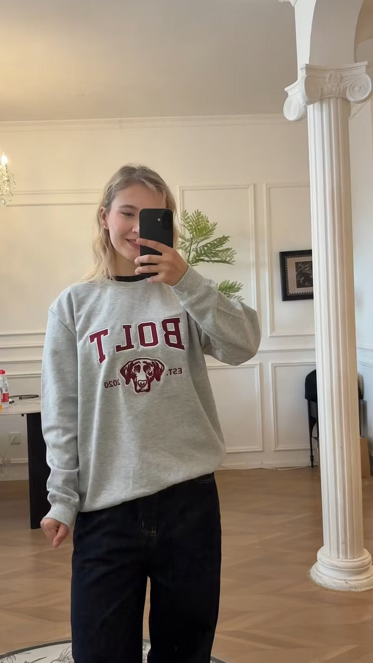 Mirror selfie in a full-length view of a gray BOLT pet outline sweatshirt