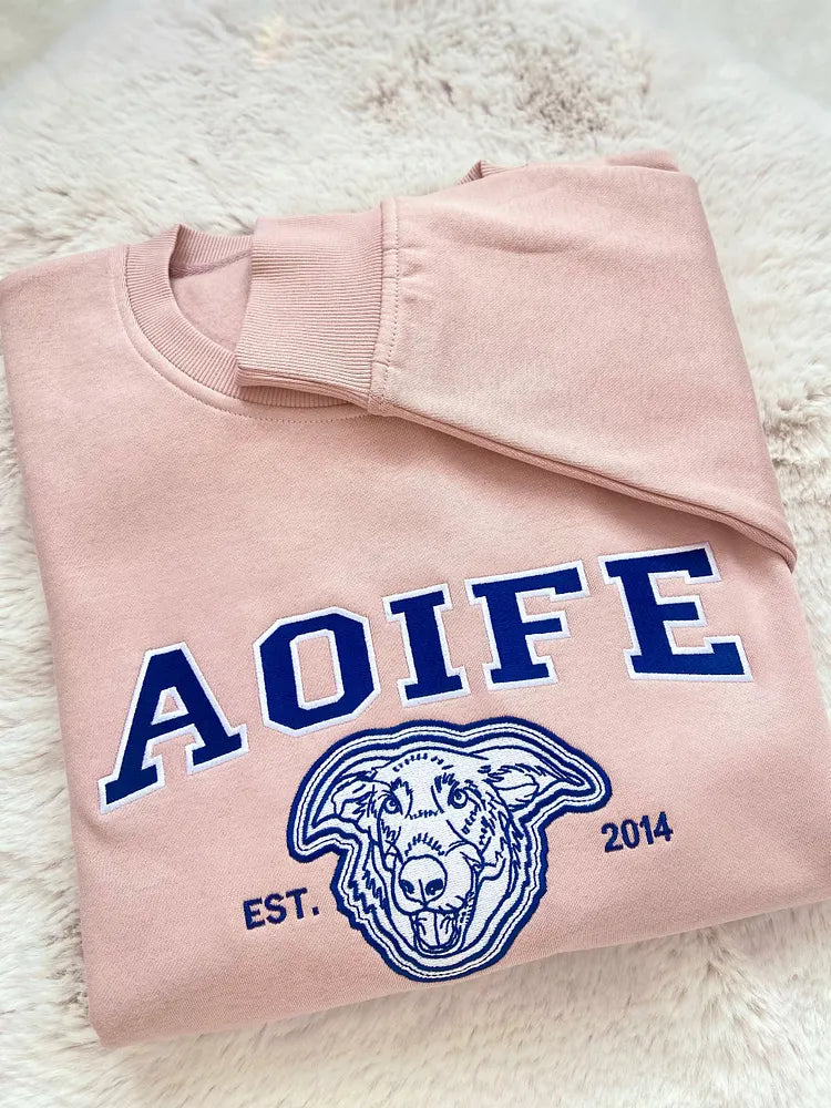 Pink sweatshirt with AOIFE in blue varsity letters above a blue embroidered dog outline